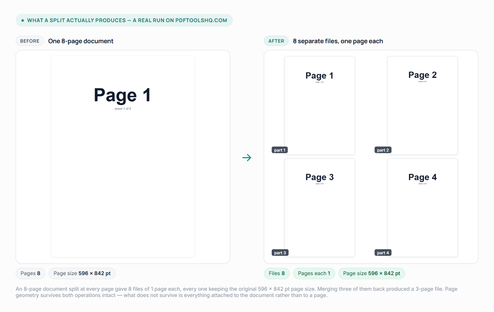 Left: a single eight-page numbered document. Right: the eight separate one-page files it became when split at every page, shown as thumbnails, each keeping the original page size.